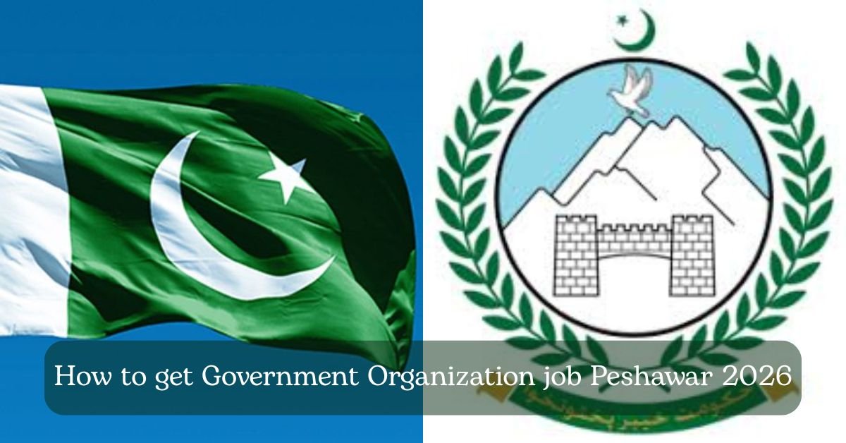 How to get Government Organization job Peshawar 2026