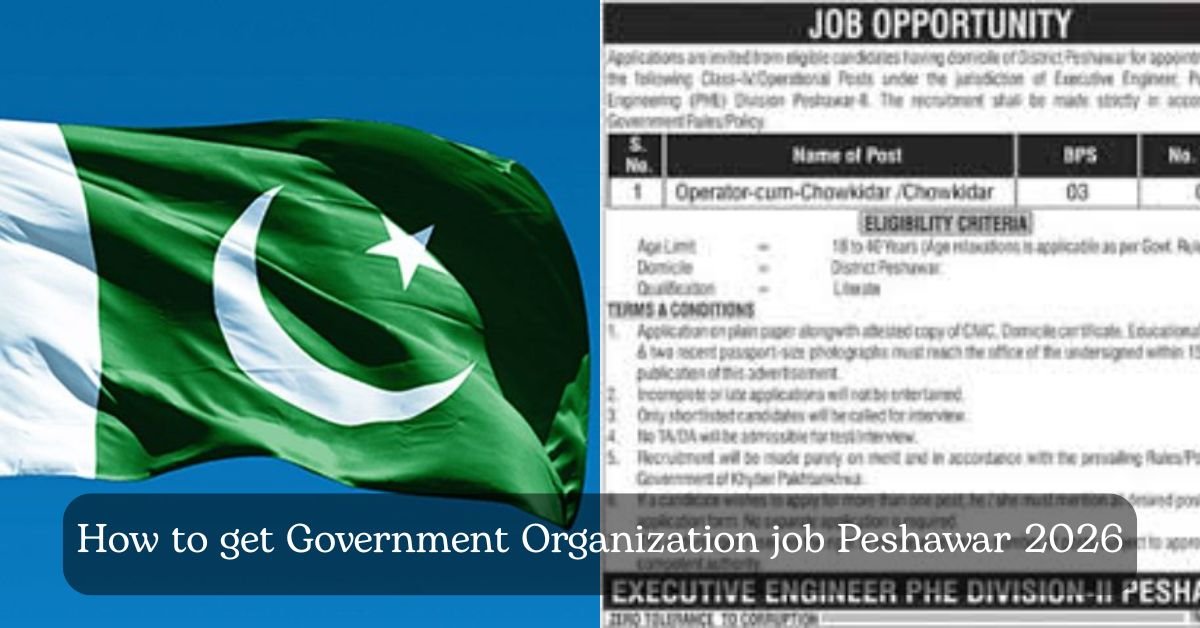 How to get Government Organization job Peshawar 2026